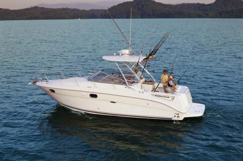2009 Sea Ray 290 Amberjack